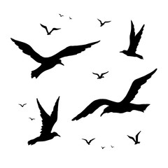 Obraz premium Mewy wektor zestaw sylwetka rysunek odręczny