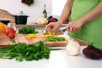 Close up of  woman's hands cooking in the kitchen. Housewife slicing ​​fresh salad. Vegetarian and healthily cooking concept
