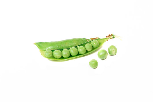  Pea pod with leaves