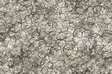 Wide repeating cracked soil pattern  