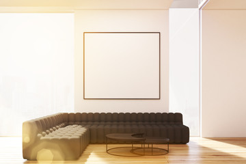 Living room with two sofas and poster, toned
