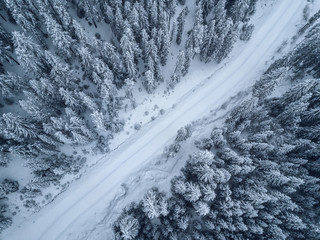 bird’s eye, aerial  view of forest covered with snow .