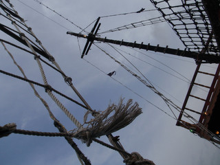 An abstract view of old rigging and mast from a sailing vessel used in tourism tours. © Eric