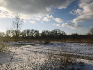 snowy morning in the sun in the winter