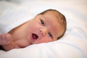 Infant Child With White Background
