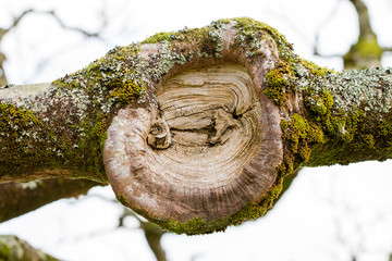View of the western Ireland countryside landscape in winter - Connemara and Galway Bay