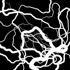 Root Plexus on Black - vector set