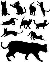 Katzen Silhouetten