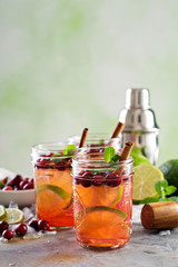 Refreshing winter cocktail with lime and cranberry