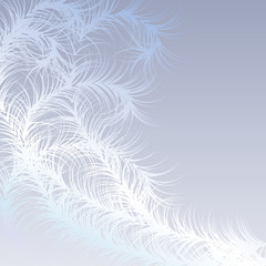 Winter frost pattern  - vector illustration 
