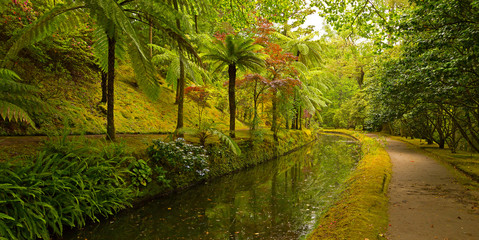Garden alley along the water stream. Beautiful old park on Sao Miguel Island, archipelago, Azores, Portugal.