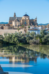 Fototapeta na wymiar Mosque Cathedral of Cordoba in Andalusia, Spain