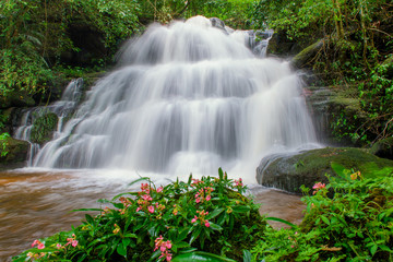 beautiful waterfall in rainforest at phu tub berk mountain  phet