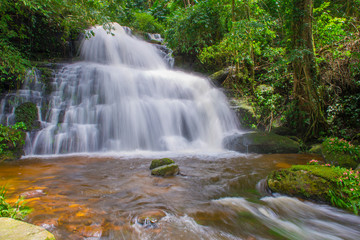 Obraz premium piękny wodospad w lesie deszczowym w phu tub berk mountain phet