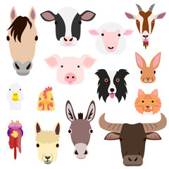 Obraz premium cute farm animal faces set