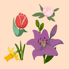Vintage flowers vector illustration.
