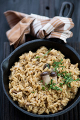 Close-up of risotto with cep boletus and parsley in a frying pan