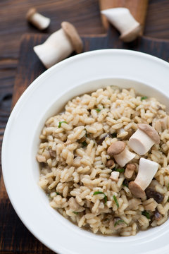 Closeup of risotto with porcini mushrooms, selective focus