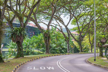 warning signs to slow down on a curving road - obrazy, fototapety, plakaty