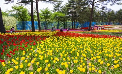 雪谷川ダムフォリストパーク・軽米（岩手県軽米町）