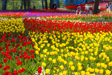 雪谷川ダムフォリストパーク・軽米（岩手県軽米町）