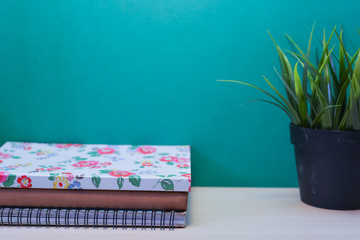 Green Plant,Books on wooden table with copy space.Green background.