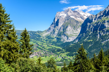 Fototapeta na wymiar Grindelwald - beautiful village in mountain scenery - Switzerland