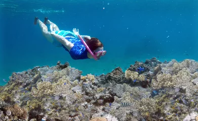 Fotobehang Woman snorkeling underwater over a coral reef in Fiji © Rafael Ben-Ari