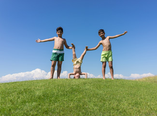 Brothers playing upside down on green meadow