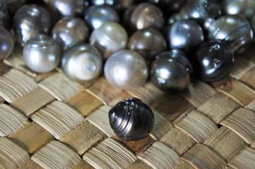 Raw Fiji Black lip oyster black pearls