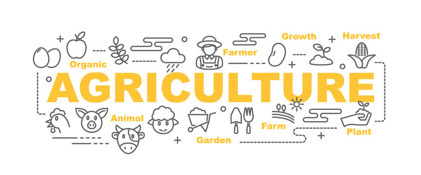 agriculture vector banner