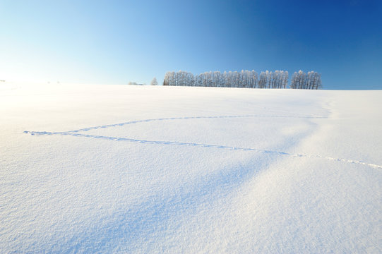 銀世界」の写真素材 | 4,495件の無料イラスト画像 | Adobe Stock