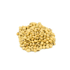 soy beans isolated on white background.