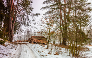 zima na Warmii © Janusz Lipiński