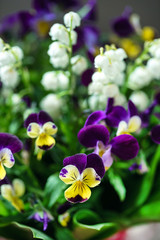 spring bouquet