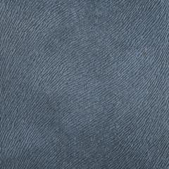 Fragment of a leather texture