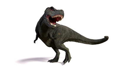 Obraz na płótnie Canvas Tyrannosaurus rex, anatomically correct T-rex dinosaur from the Jurassic period (3d illustration isolated on white background)