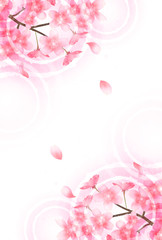 桜　春　花　背景 