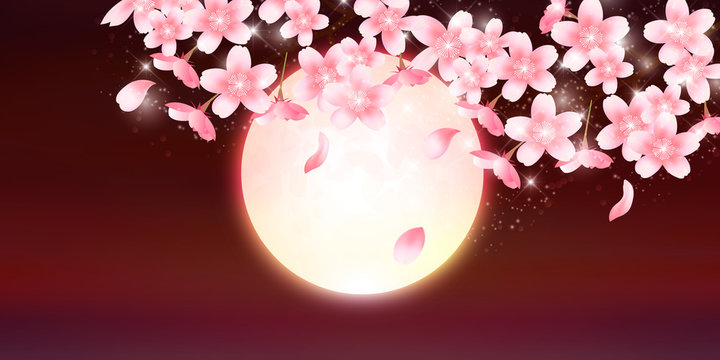 桜　春　花　背景 