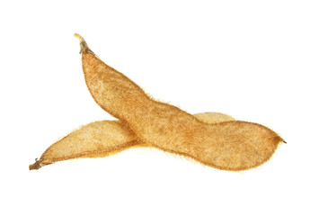 Fototapeta premium Soybean pods isolated on white background. Soya - protein plant