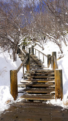 Snow stair walkway and railing in the forest Noboribetsu onsen