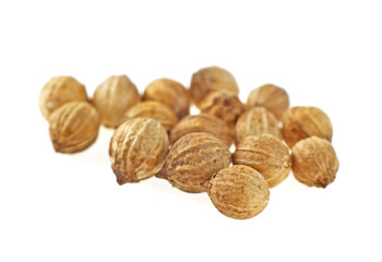 Coriander seeds isolated on white background