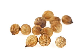 Coriander seeds isolated on white background