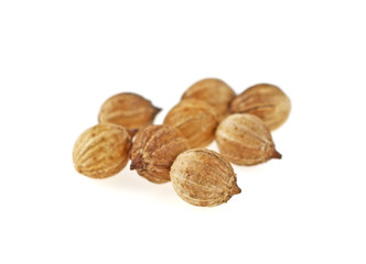 Coriander seeds isolated on white background