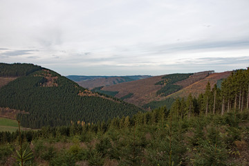 Naklejka premium Sauerland