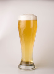 Light beer