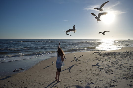 Girl on beach feeding seaguls