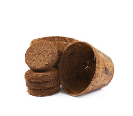 Degradable coconut pot isolated