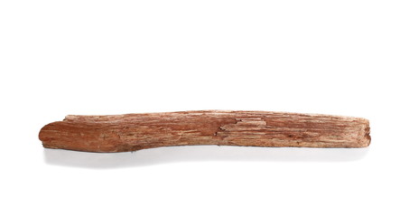 dry rotten branch with lichen isolated on white background