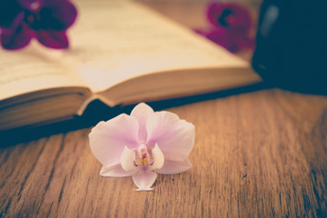 Fototapeta na wymiar beautiful flower with old book and Cup of coffee or tea. 